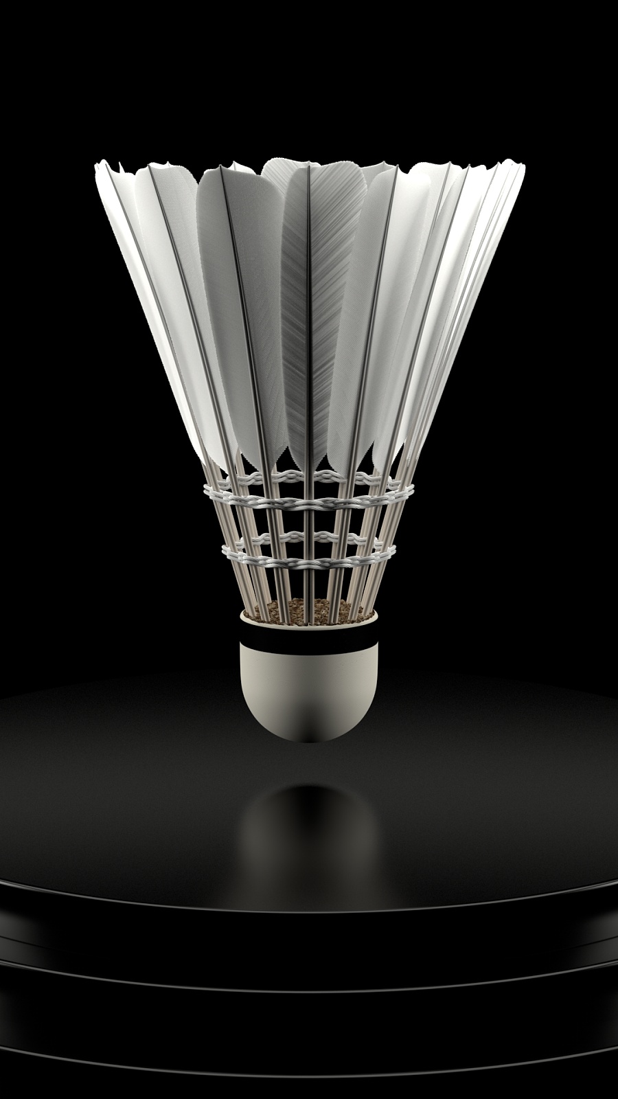 了良好条件 了良好条件